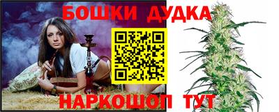 стафф Дубна