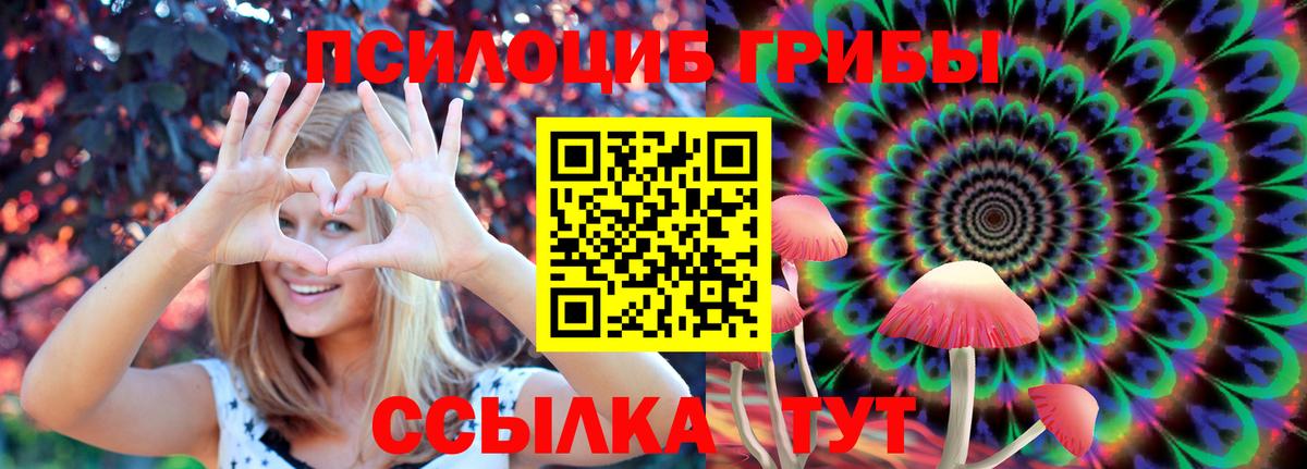 Галлюциногенные грибы MAGIC MUSHROOMS  Псилоцибиновые грибы GOLDEN TEACHER  Павлово  Вход с VPN 